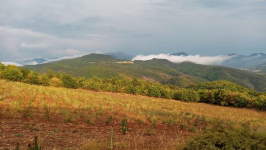 Sonntag – ein Regentag