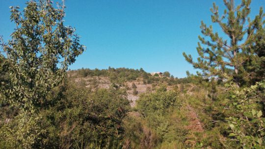 Donnerstag – abenteuerlich