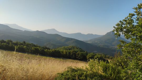 Sonntag – startklar
