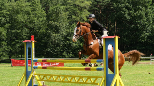 Turnier in Reuthen 2017