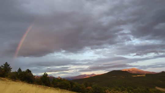 Freitag – noch mehr Regen